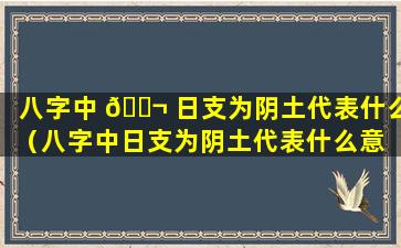 八字中 🐬 日支为阴土代表什么（八字中日支为阴土代表什么意 🐱 思）